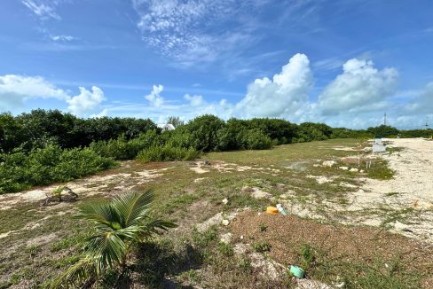Mahogany Bay 6005 (10)