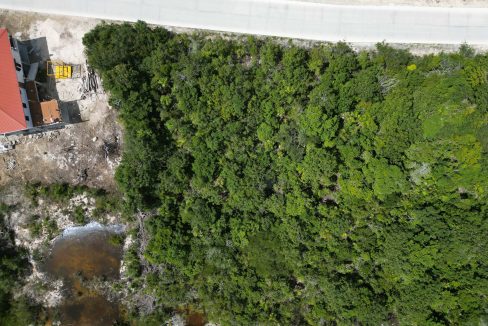 DJI_0819