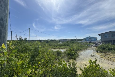 IMG_0872