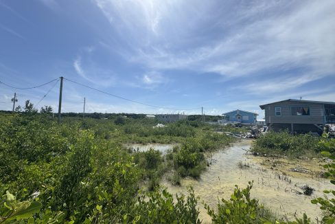 IMG_0873