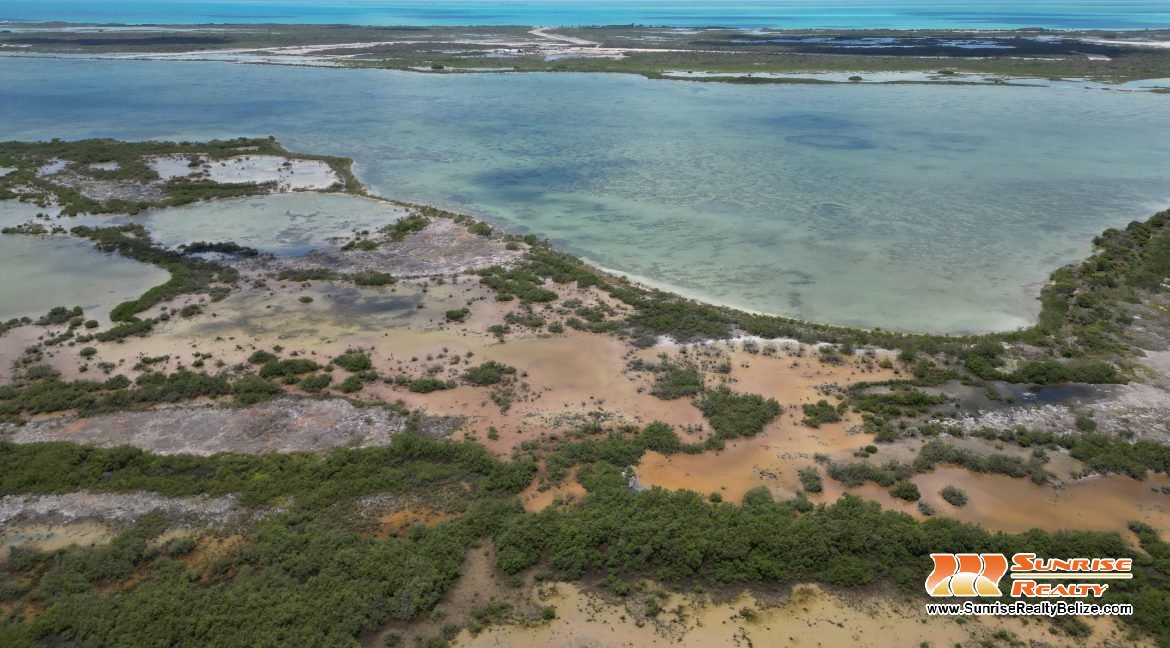 DJI_0131