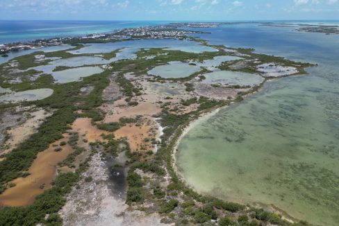 DJI_0135