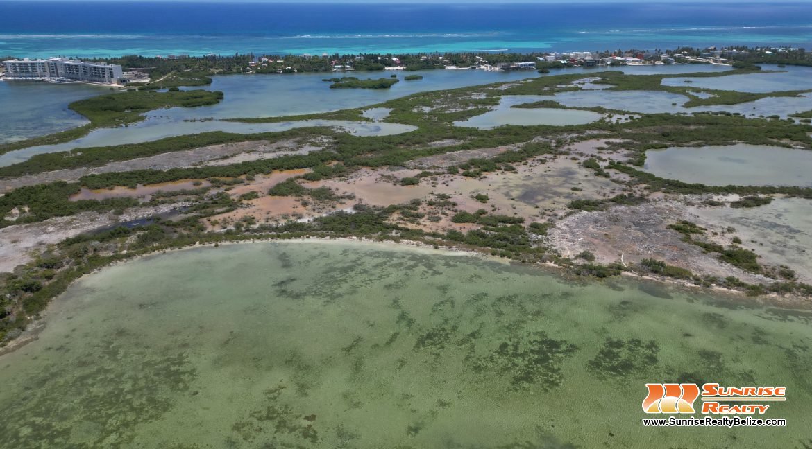 DJI_0139