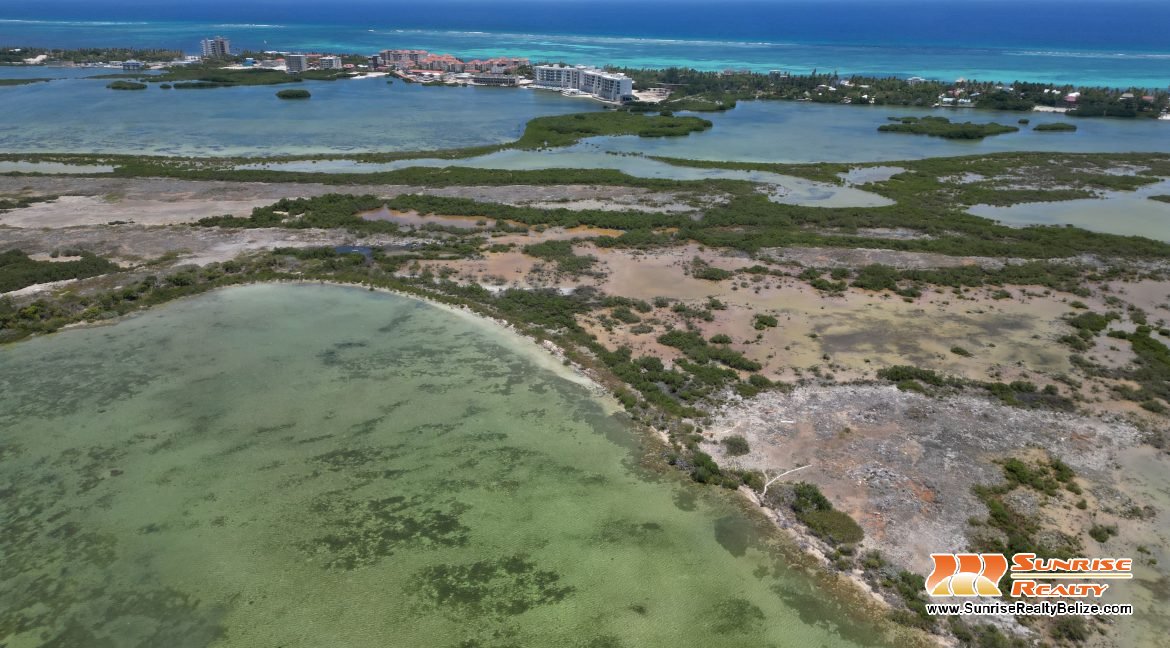 DJI_0141
