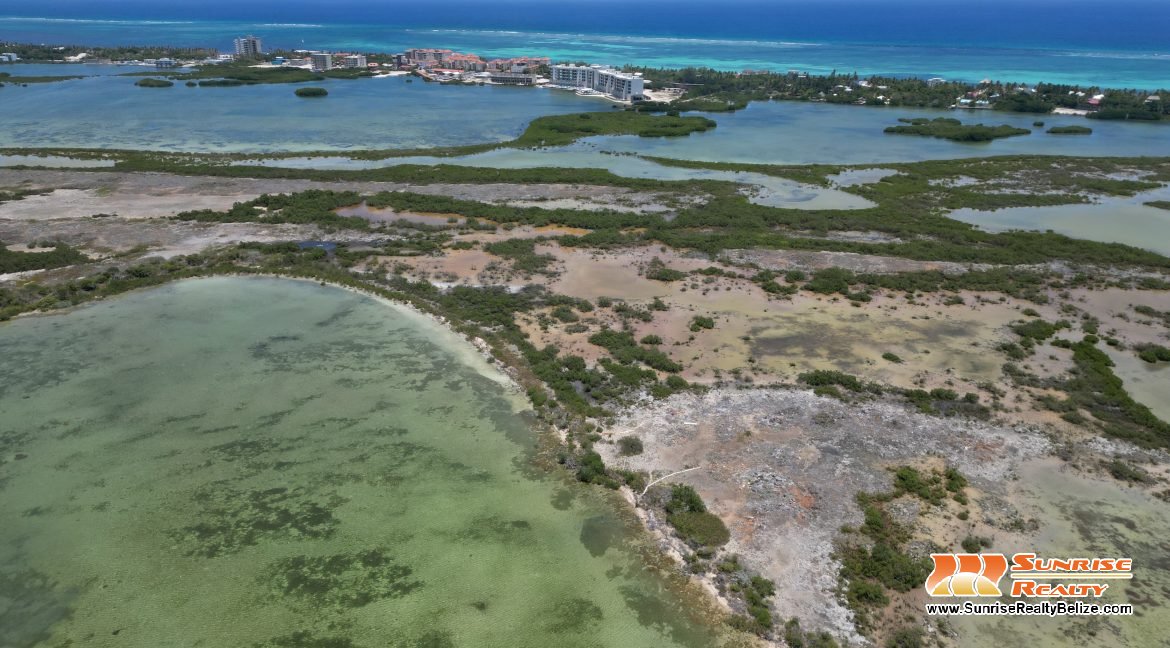 DJI_0142