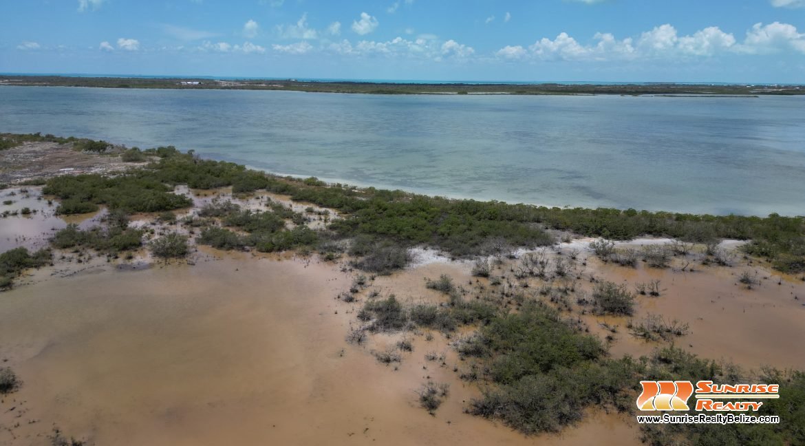 DJI_0153
