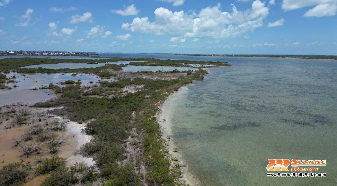 DJI_0155