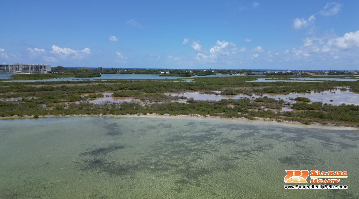 DJI_0156