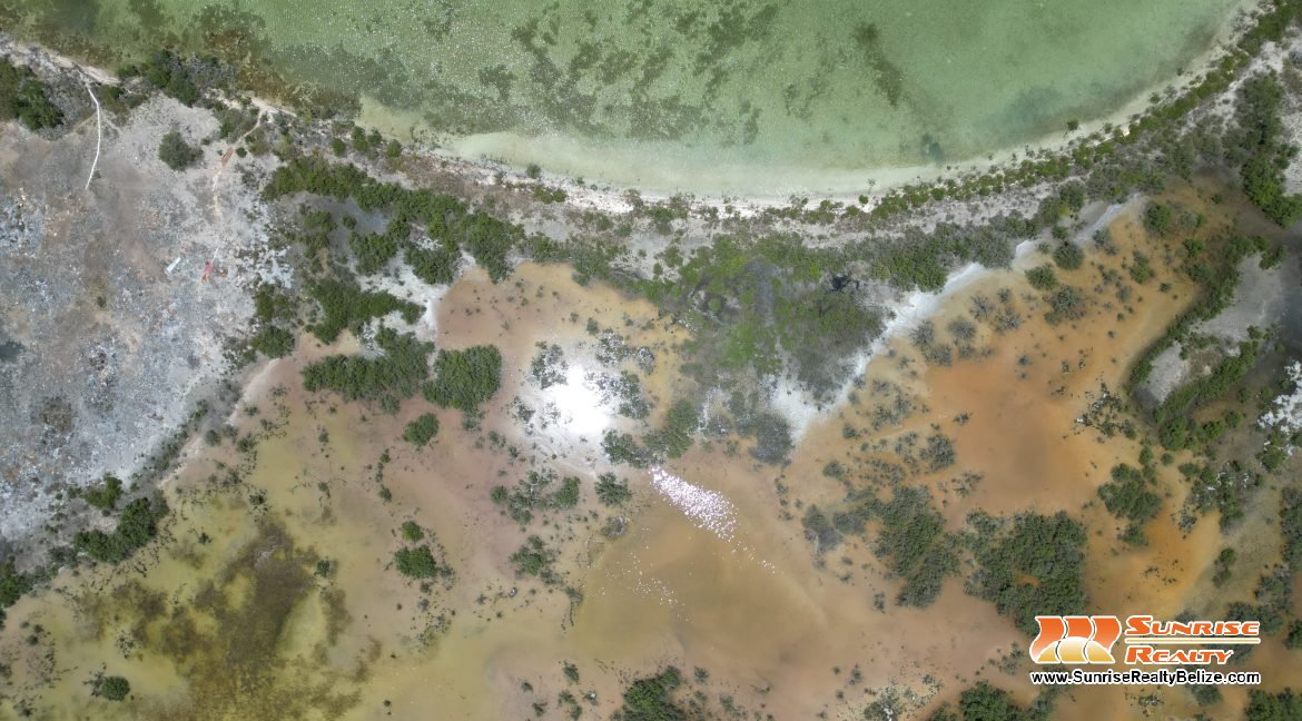 DJI_0158