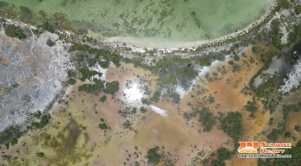 DJI_0159
