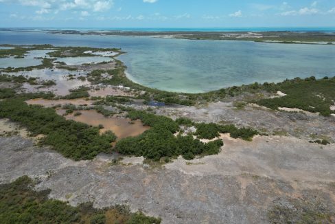 DJI_0161