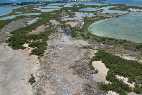 DJI_0164