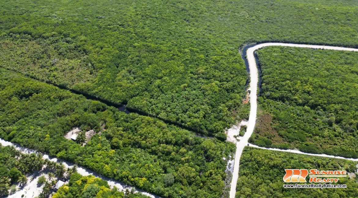 DJI_0544