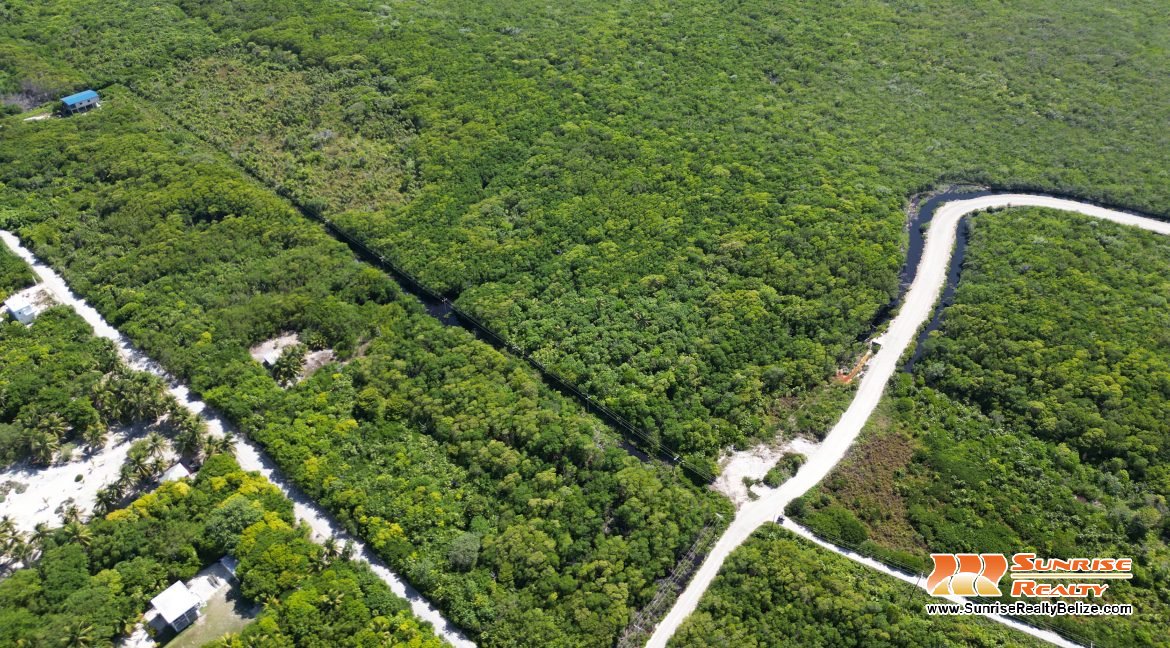 DJI_0545