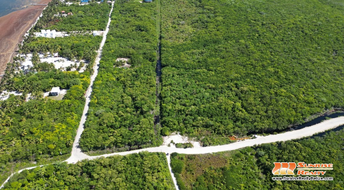 DJI_0546