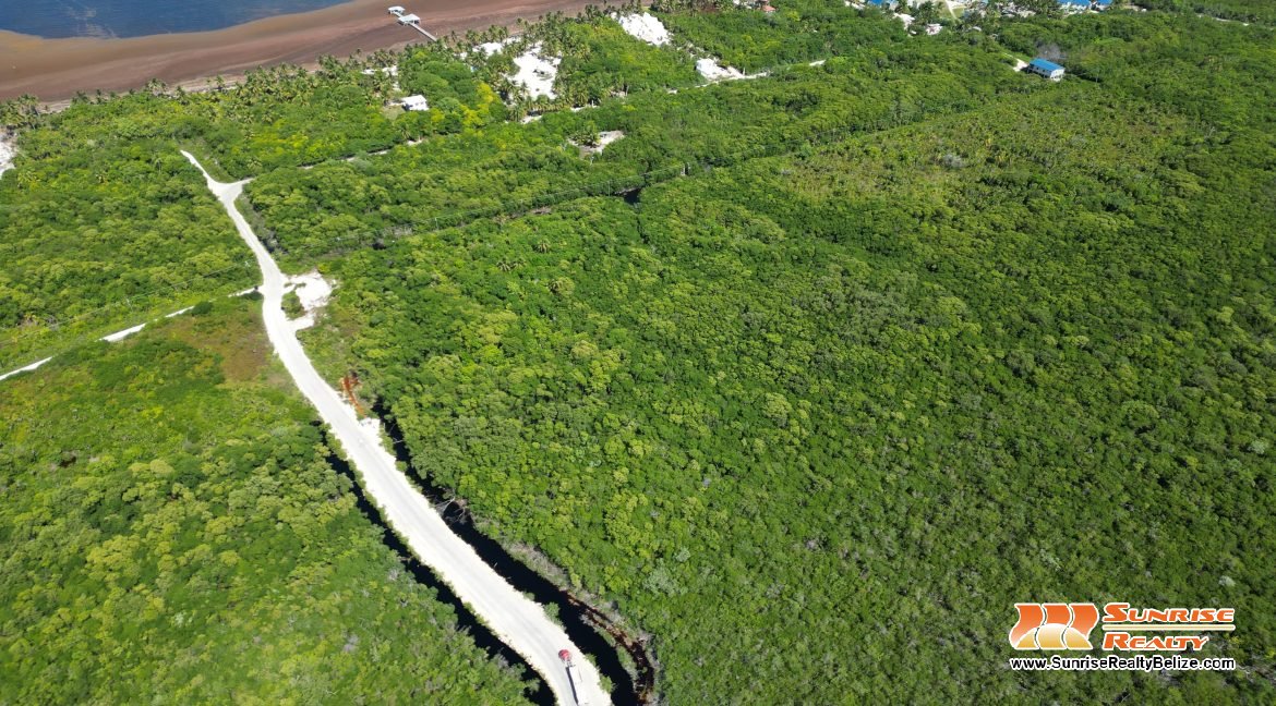DJI_0549