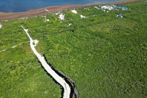 DJI_0549