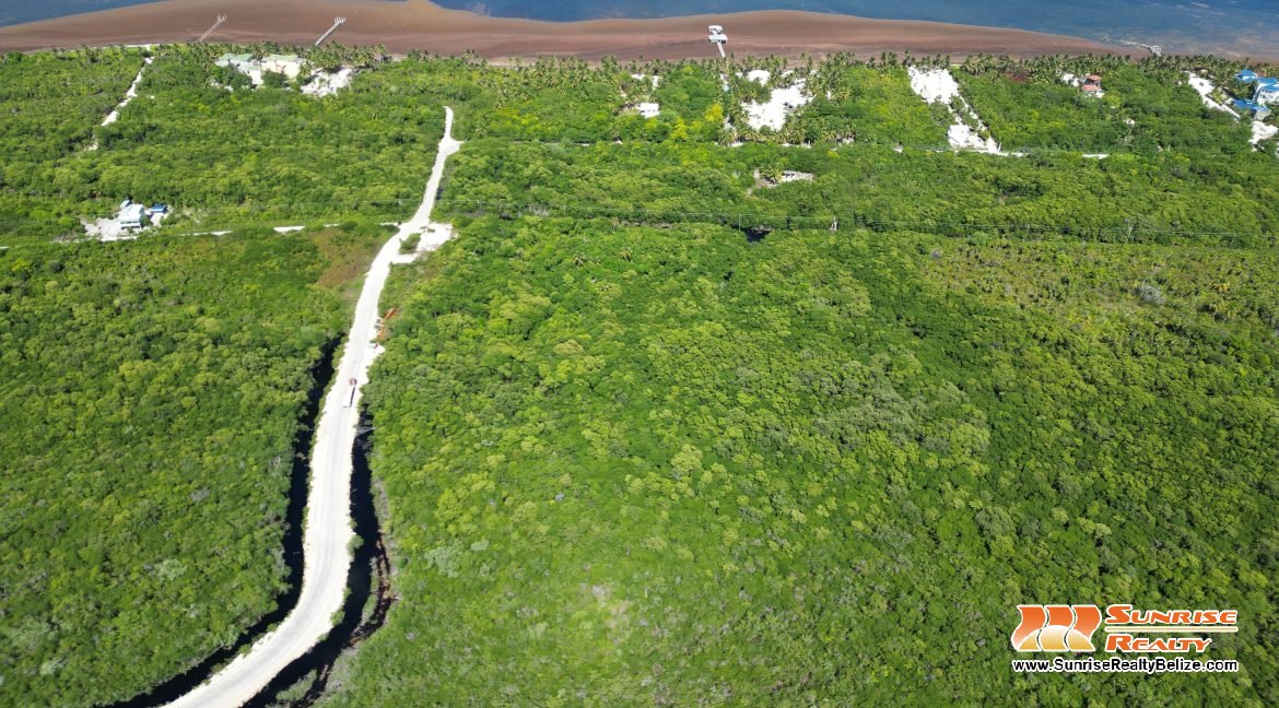 DJI_0550