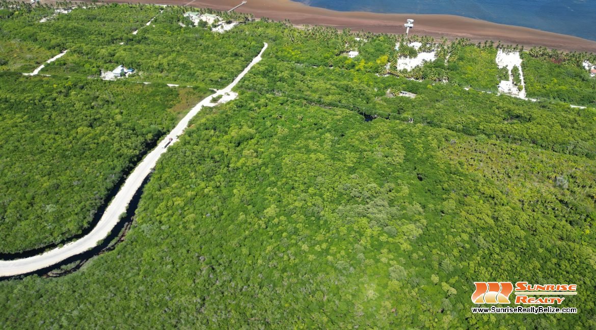 DJI_0551