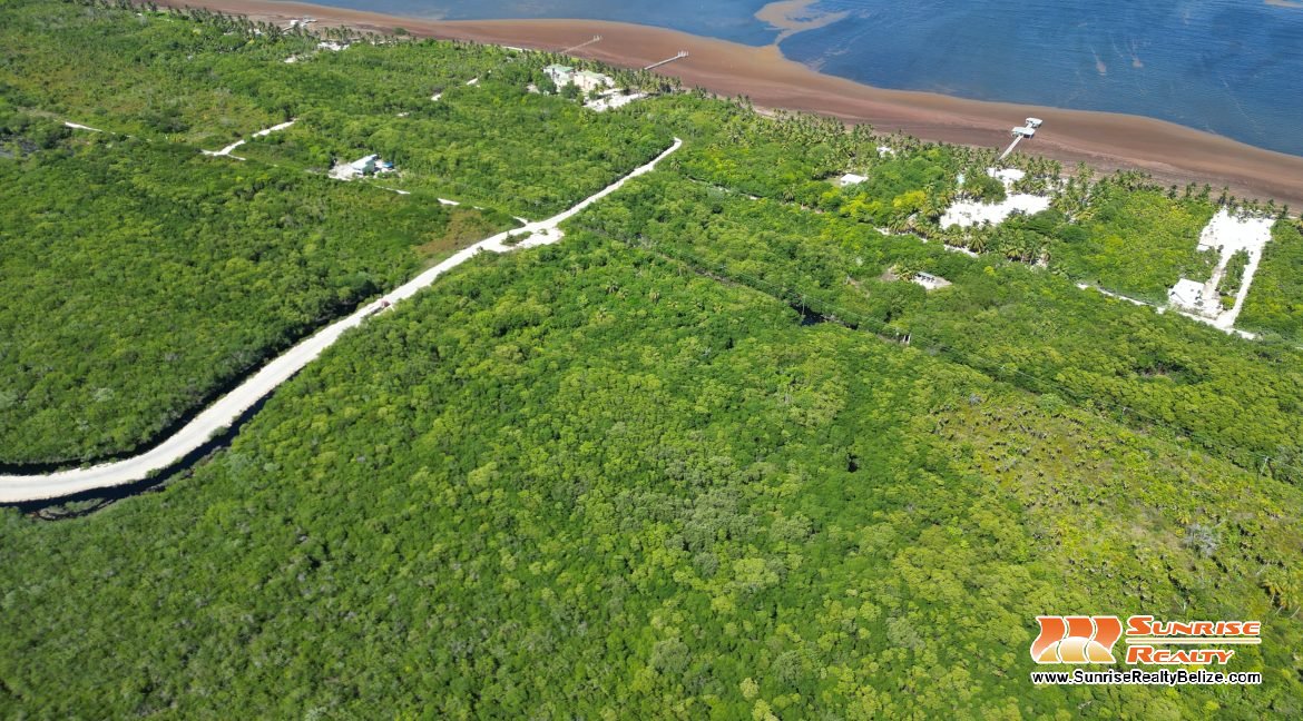 DJI_0552