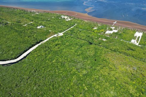 DJI_0552