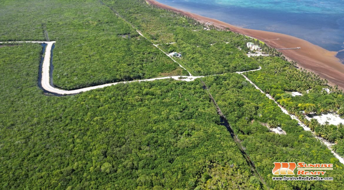 DJI_0554