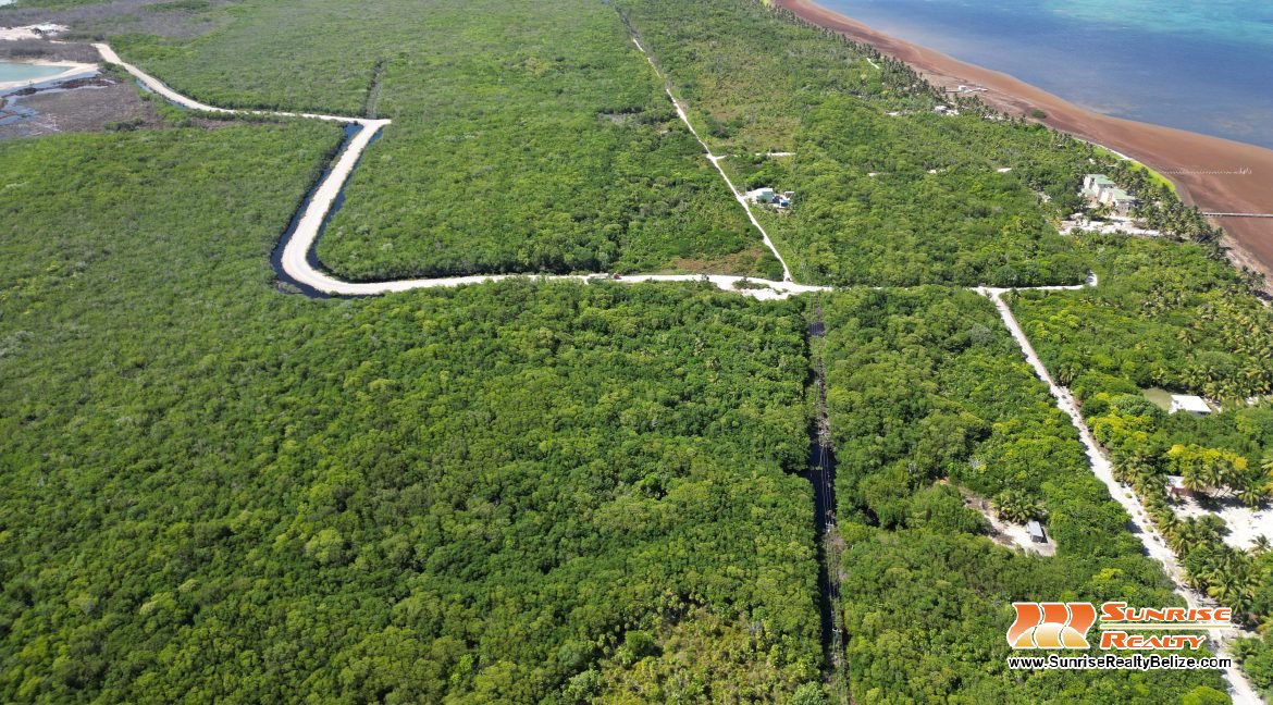 DJI_0555