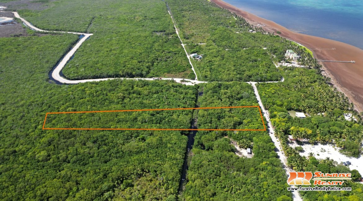 DJI_0556