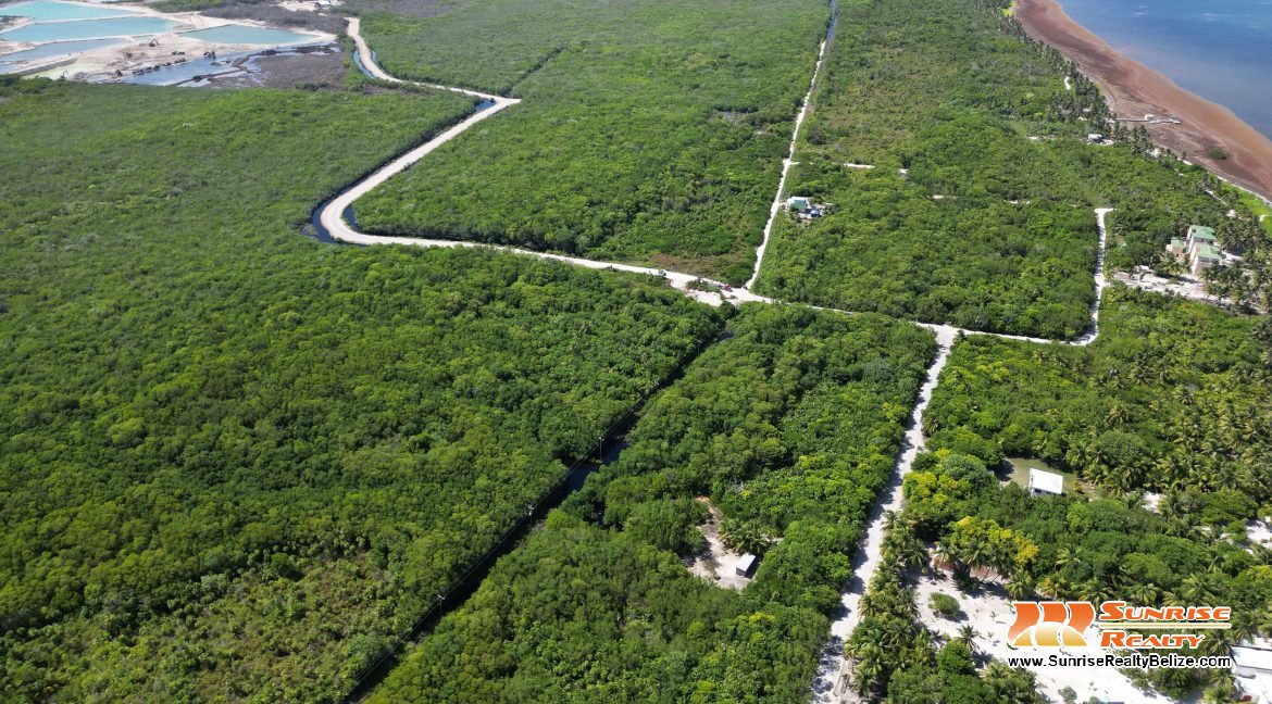 DJI_0557