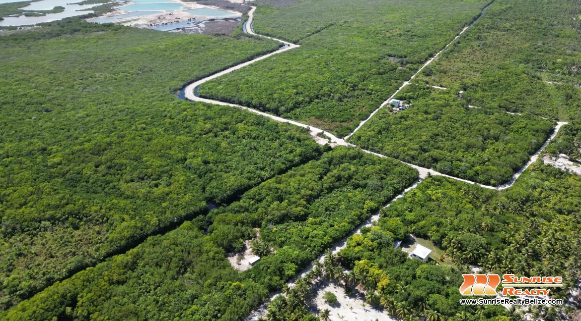 DJI_0558