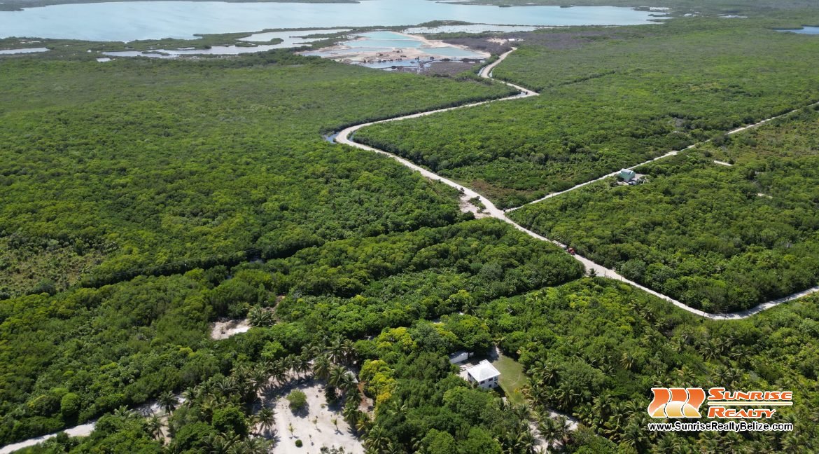 DJI_0559