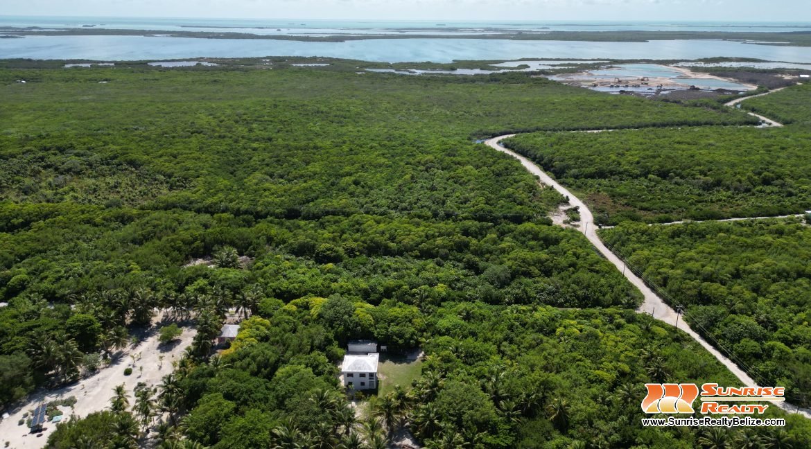 DJI_0560
