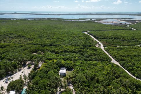 DJI_0560