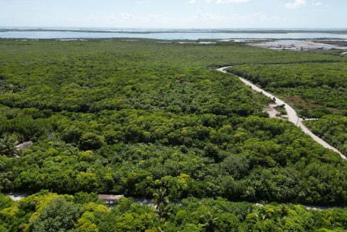 DJI_0561