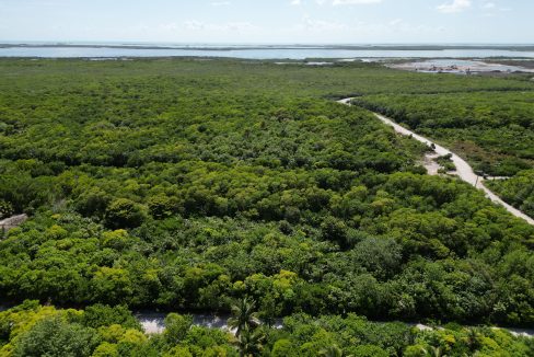 DJI_0562