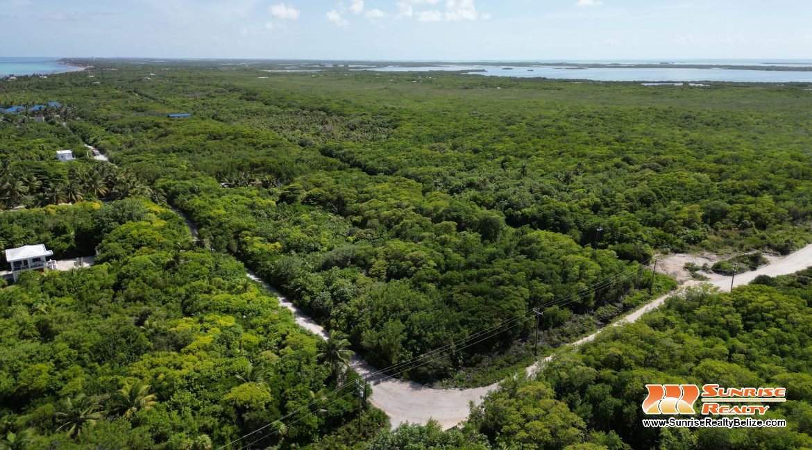 DJI_0563