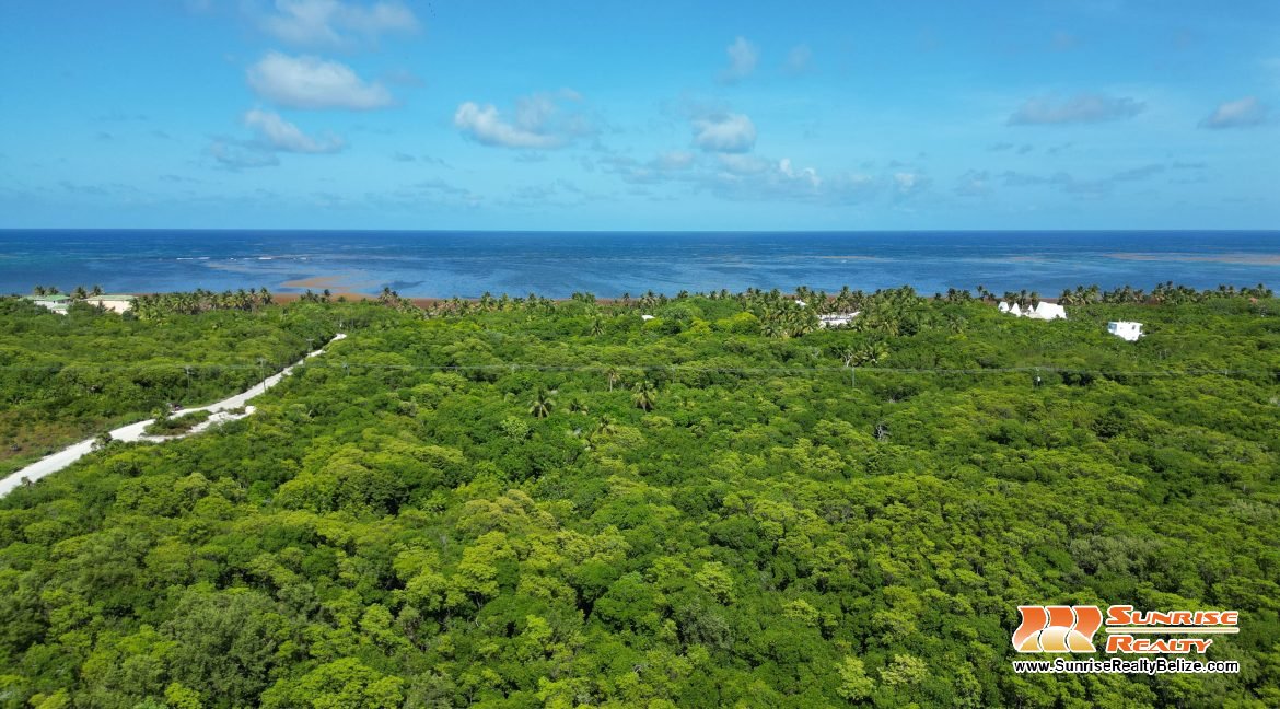 DJI_0571