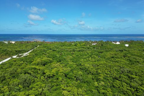 DJI_0571