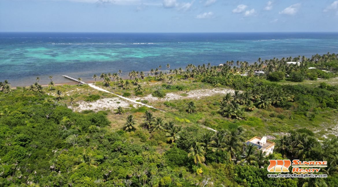 DJI_0602