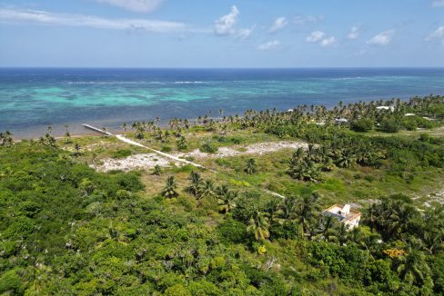 DJI_0602