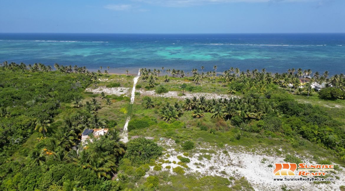 DJI_0603
