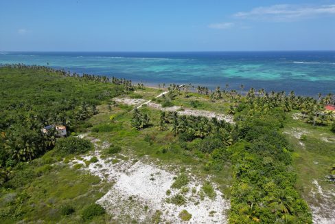 DJI_0604