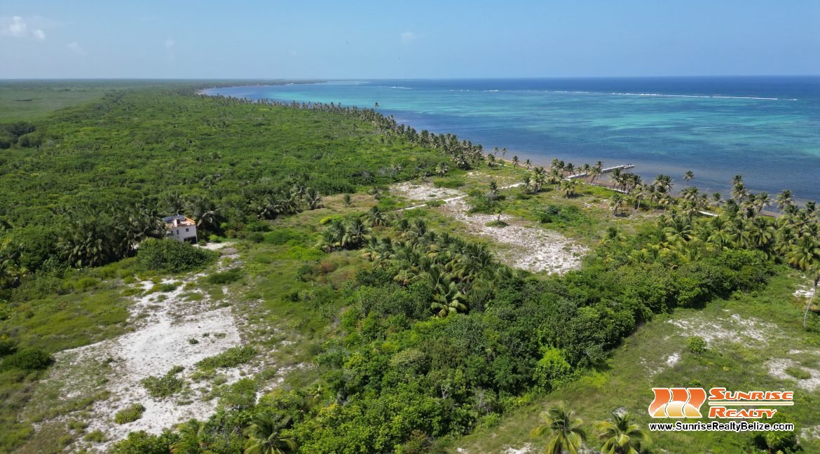 DJI_0605