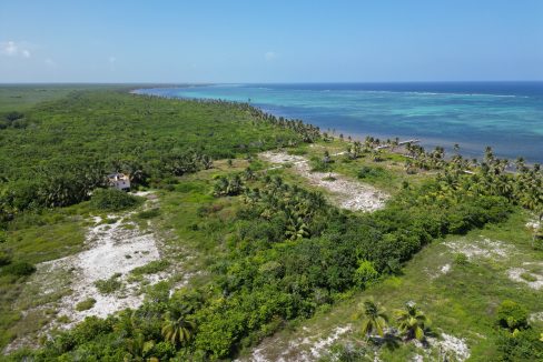 DJI_0605