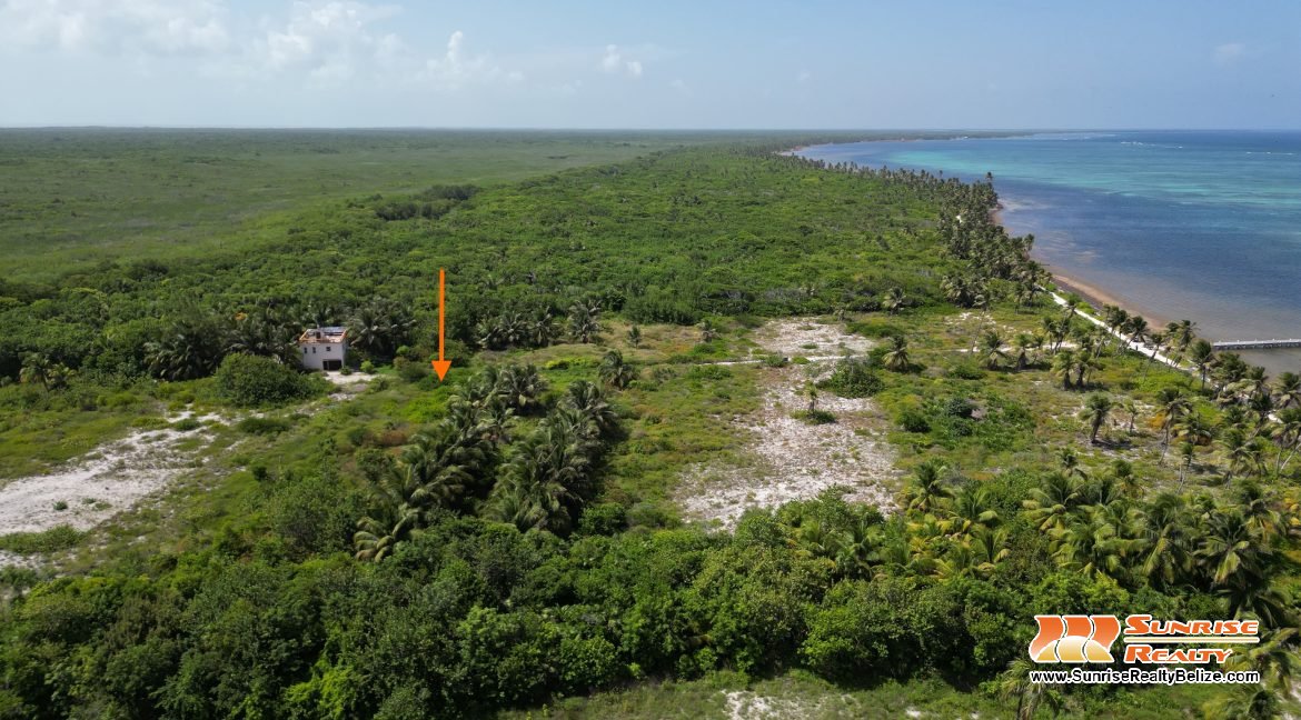 DJI_0606
