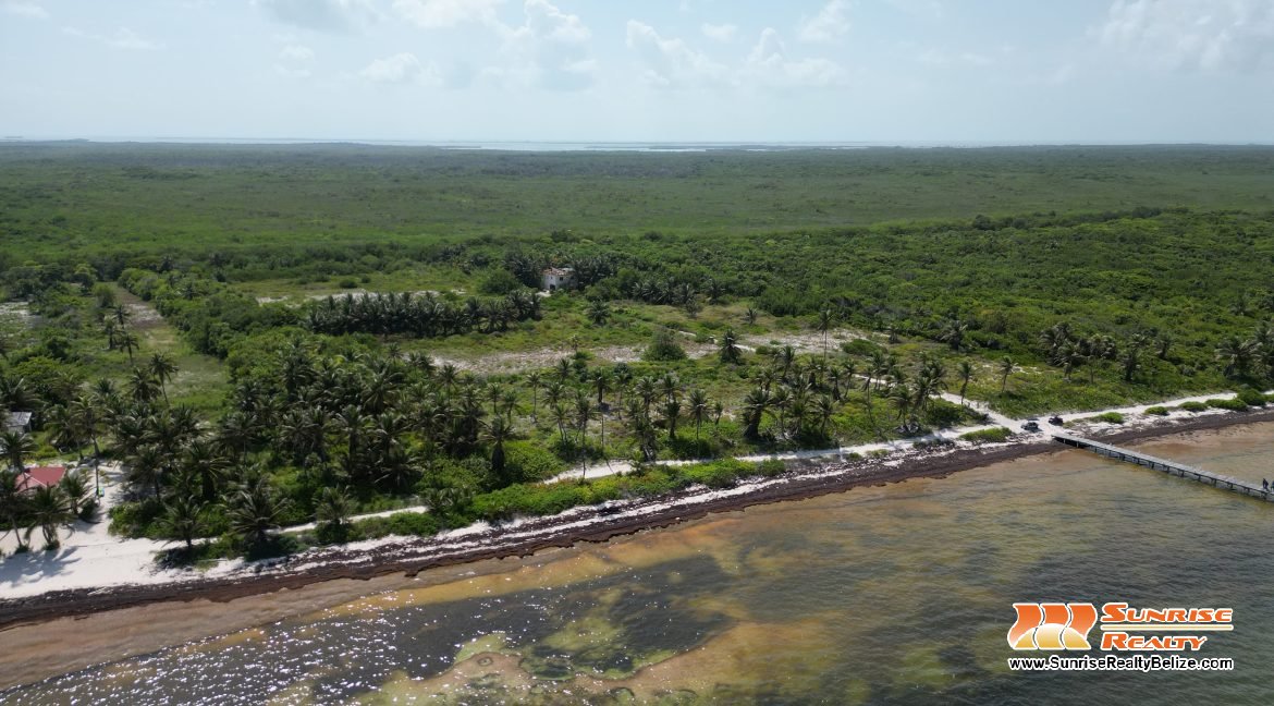 DJI_0607