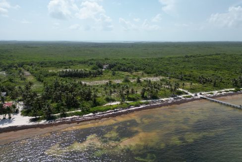 DJI_0607