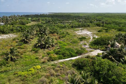 DJI_0610