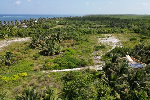 DJI_0611