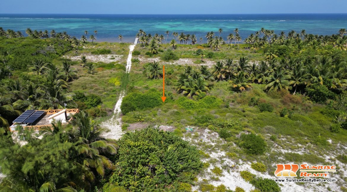 DJI_0613